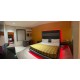 JUNIOR SUITE, 1 KING BED,NONSMOKING(1)